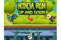 Play Ninja Run Up and Down now!